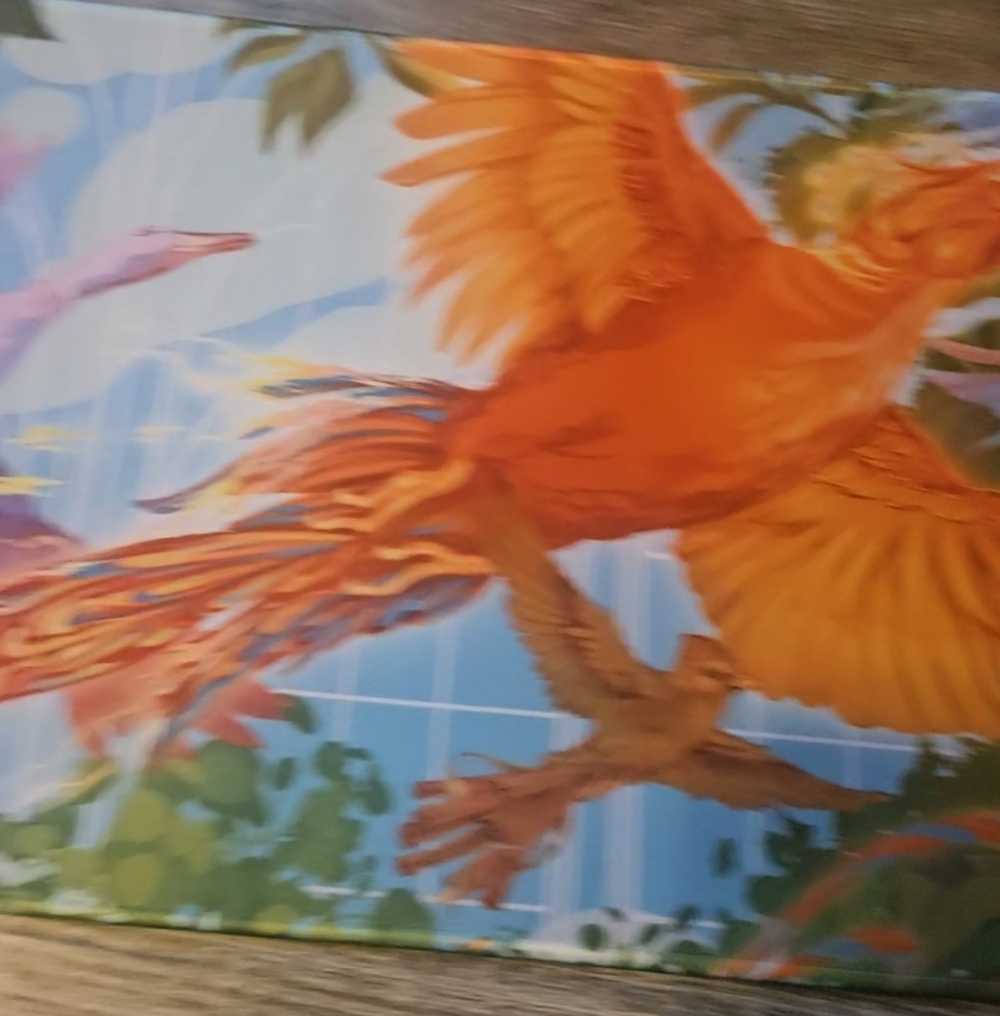 Lot Of Illumicrate Items - Picture 5 of 16